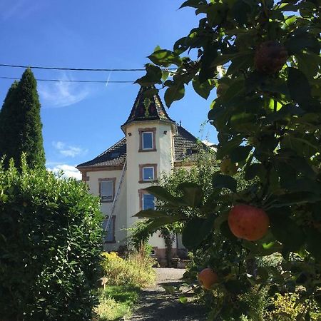 L'Aromeantic Lägenhet Rothau Exteriör bild